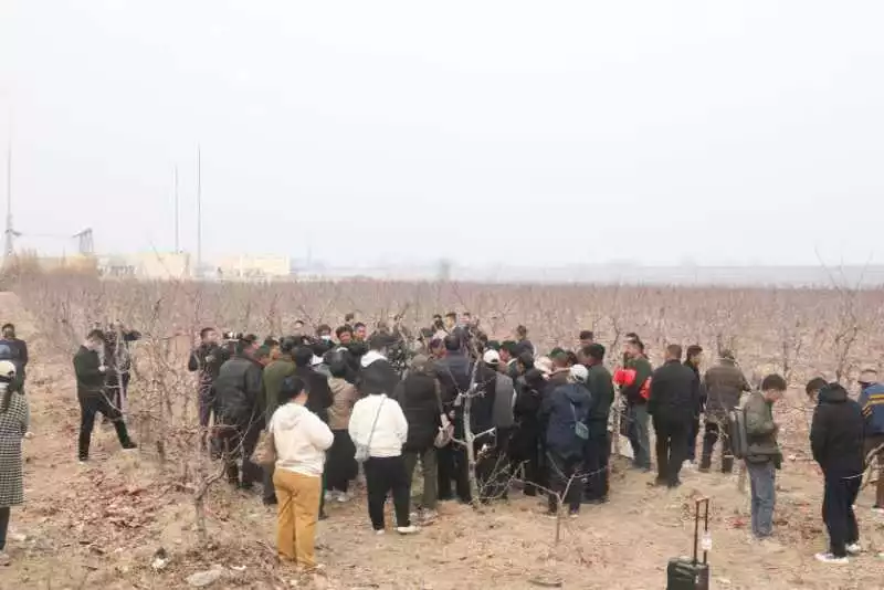 安阳市林业局 举办2025年果树综合管理培训研讨会