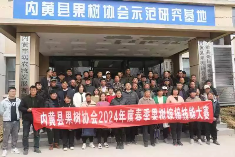 内黄县果树协会果树嫁接技能大赛