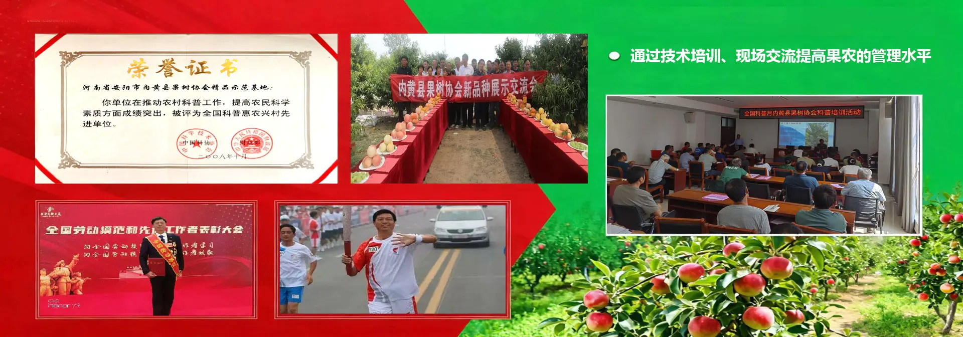 果树种植技术培训