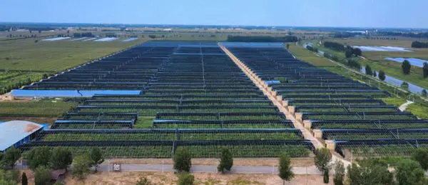 内黄县果树协会科普示范基地