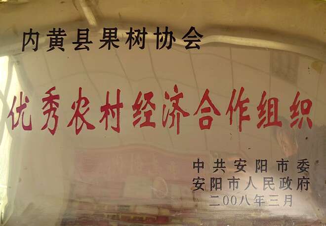 优秀农村经济合作组织