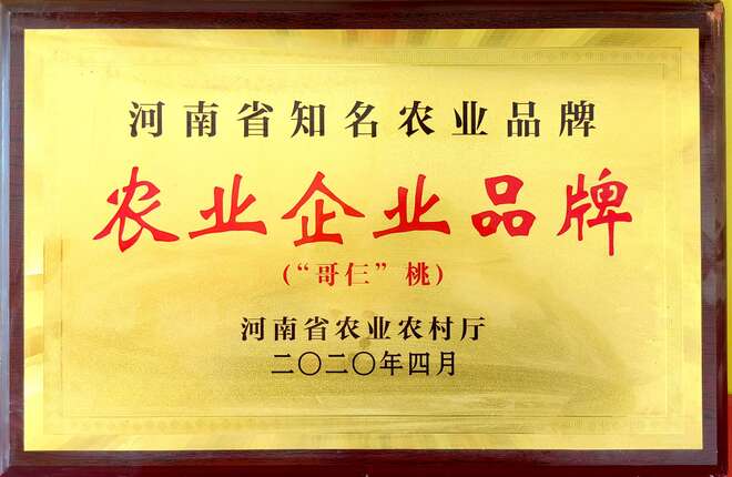 ‘哥仨’桃被评为知名农业企业品牌