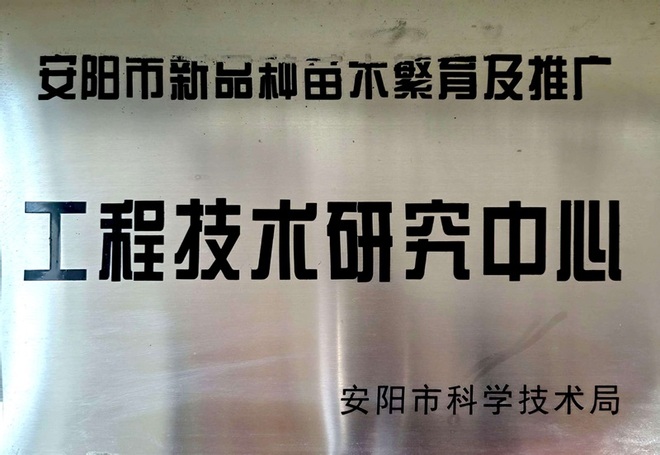 市工程技术研究中心