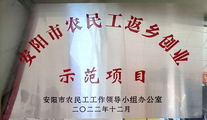 安阳市农民工返乡创业示范项目
